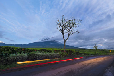 Road by bare tree against sky