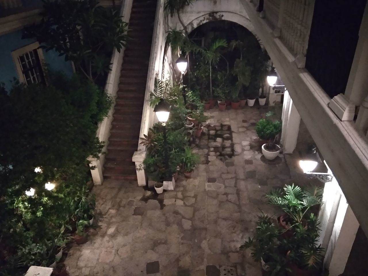 HIGH ANGLE VIEW OF POTTED PLANTS OUTSIDE BUILDING AT NIGHT