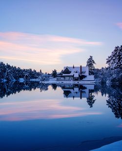 Reflection of trees in calm lake