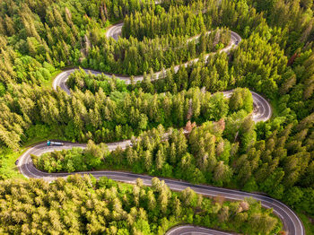 High angle view of road amidst trees in forest