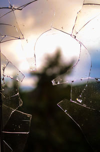 Close-up of wet spider web against window during rainy season