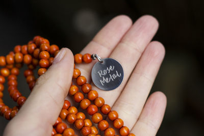 Cropped image of person holding tomatoes