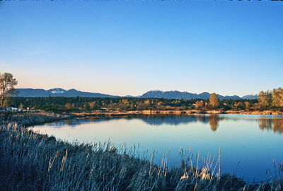 Scenic view of lake against clear blue sky