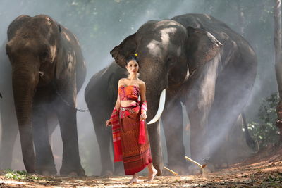 Woman with elephants standing on land in forest