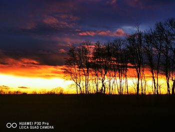 Silhouette bare trees on landscape against sky during sunset