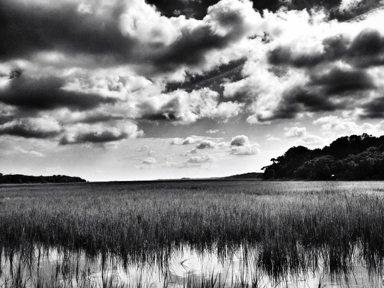 sky, tranquil scene, landscape, tranquility, field, grass, scenics, cloud - sky, rural scene, beauty in nature, cloud, nature, growth, agriculture, cloudy, plant, farm, horizon over land, non-urban scene, crop