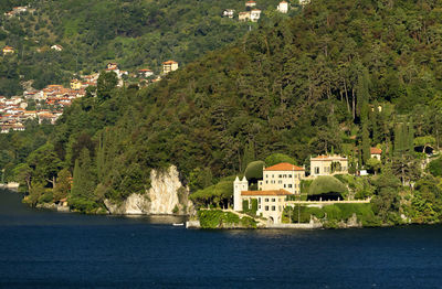 Calm lake against lush foliage