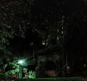 Illuminated street lights at night