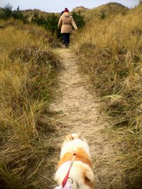 Dog standing on field