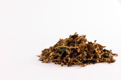 Close-up of dried plant against white background