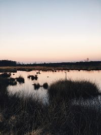 Scenic view of lake against clear sky