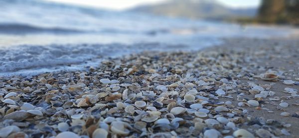 Close-up of stones on beach