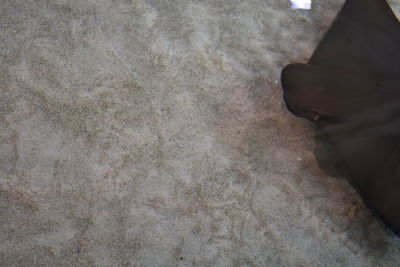 Low section of man standing on tiled floor