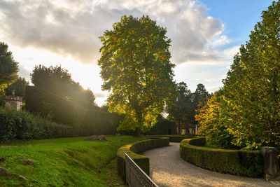 Footpath amidst trees in park against sky, boboli garden, firenze, tuscany 