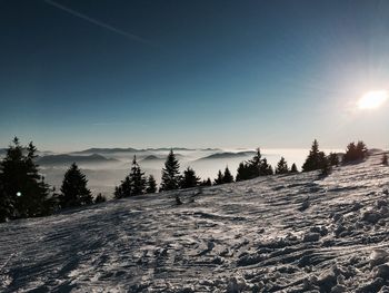 Scenic view of trees against sky during winter