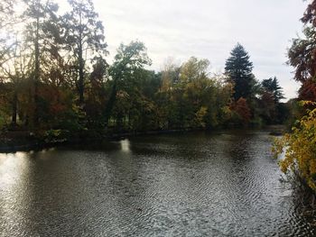 Scenic view of river in forest against sky