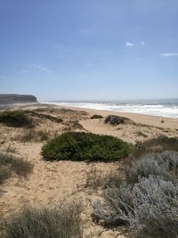 Scenic view of beach against sky