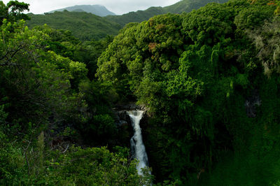 Idyllic view of waterfall on mountain