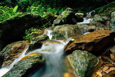 Stream flowing through rocks in forest