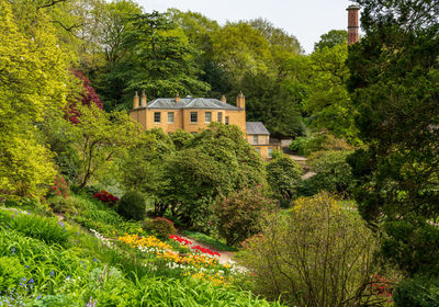 Trees and houses