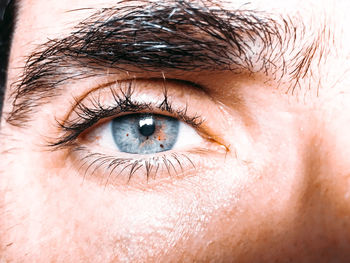 Close-up of human eye