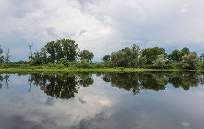 Reflection of trees in loire river against sky