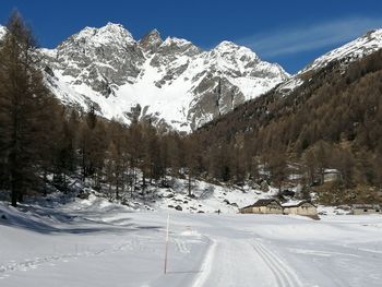 snow
