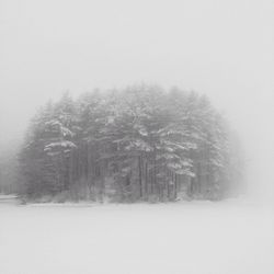 Scenic view of snow covered landscape