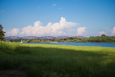 Scenic view of field against sky