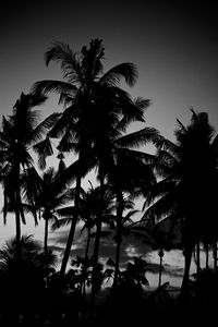 Silhouette palm trees against sky during sunset