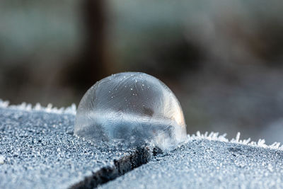 Close-up of snow covered land