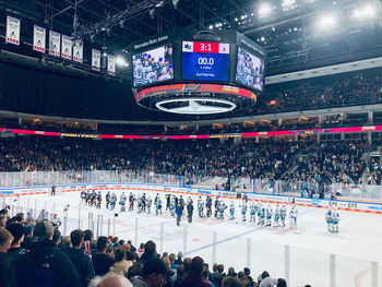 San jose sharks vs eisbären 