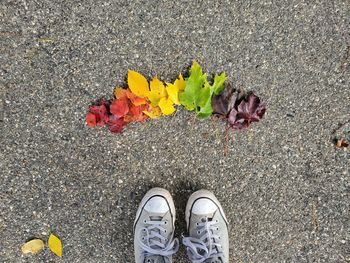 Low section of person standing on yellow leaves