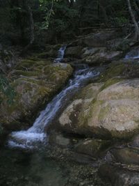 Stream flowing through rocks in forest