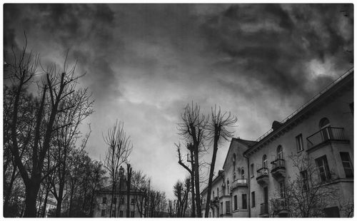 Low angle view of trees in city against sky