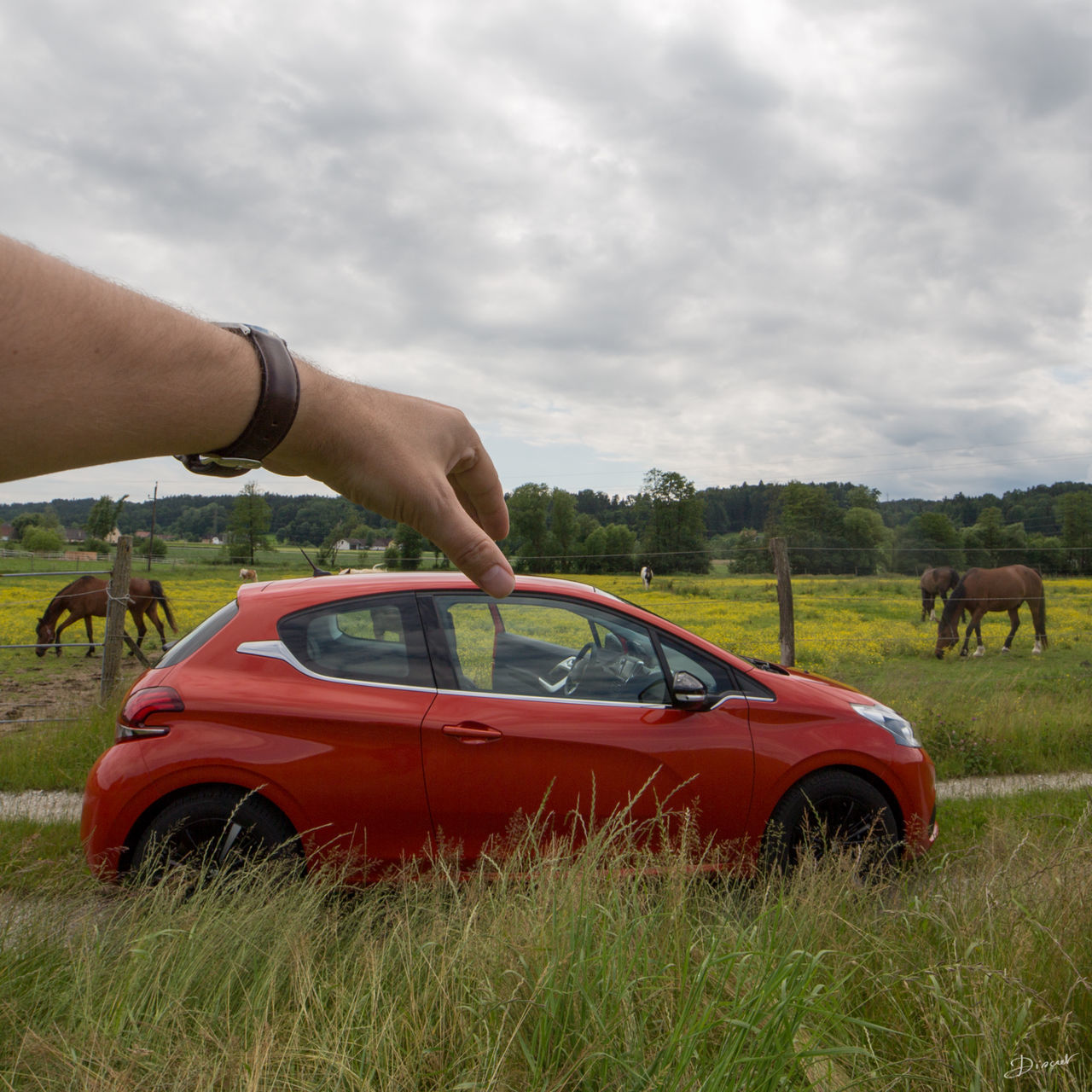 grass, transportation, field, domestic animals, sky, mode of transport, grassy, land vehicle, animal themes, cloud - sky, men, mammal, horse, leisure activity, part of, lifestyles, cloud, one animal