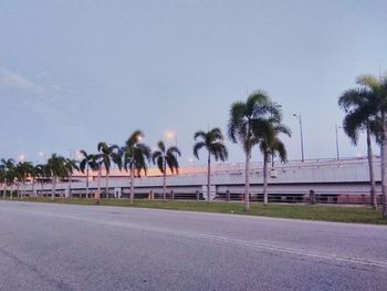 Road by palm trees against clear sky