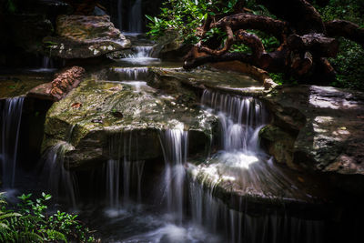 Scenic view of waterfall in forest