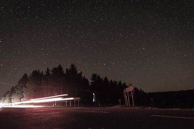 Light trails on trees against star field at night