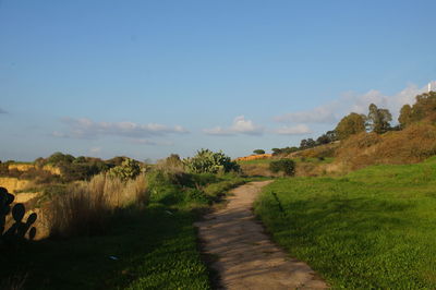 Footpath amidst grass against sky