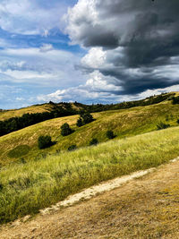 Scenic view of field against sky