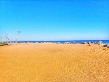 Scenic view of beach against clear blue sky