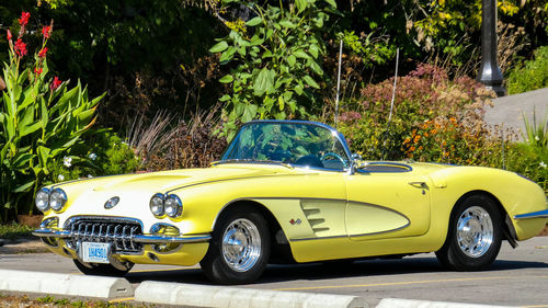 Yellow car on street against trees in city