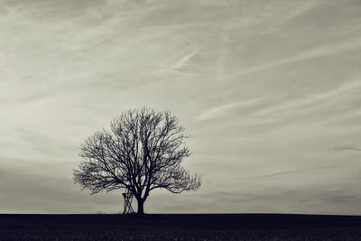 Bare tree on landscape against the sky