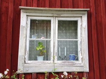 Close-up of red flowers on window sill