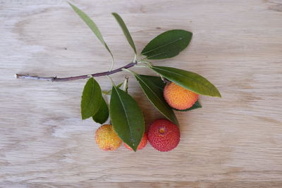 Close-up of arbutus on table