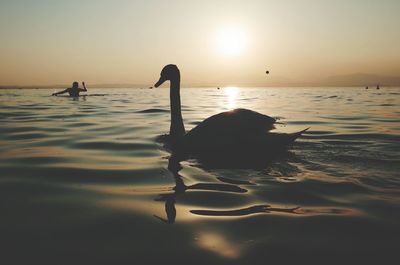 Scenic view of sea at sunset