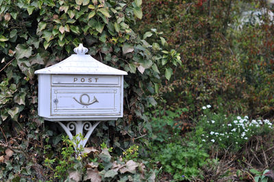 Close-up of information sign against plants