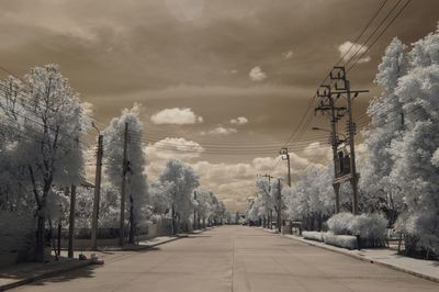 Road amidst trees against sky during winter