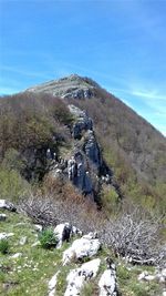 Scenic view of snowy field against sky